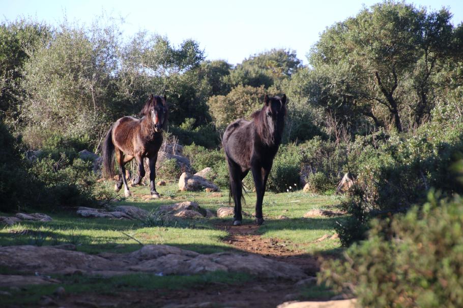 Überraschung auf beiden Seiten.