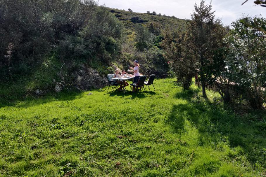 Kleine grüne Oase inmitten der Großstadt.