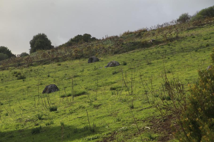 Die Sonne lässt sich nur ab und zu kurz blicken.