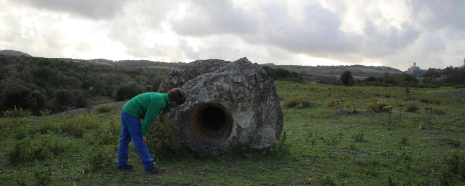 Die prähistorischen Bäume konnten in Ruhe zur vollen Dicke wachsen.