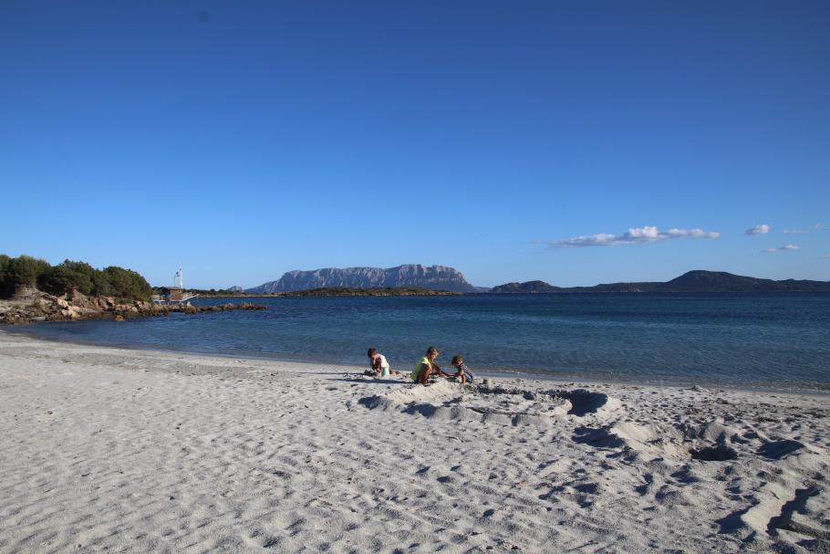 Es wird nahtlos weiter gebuddelt.