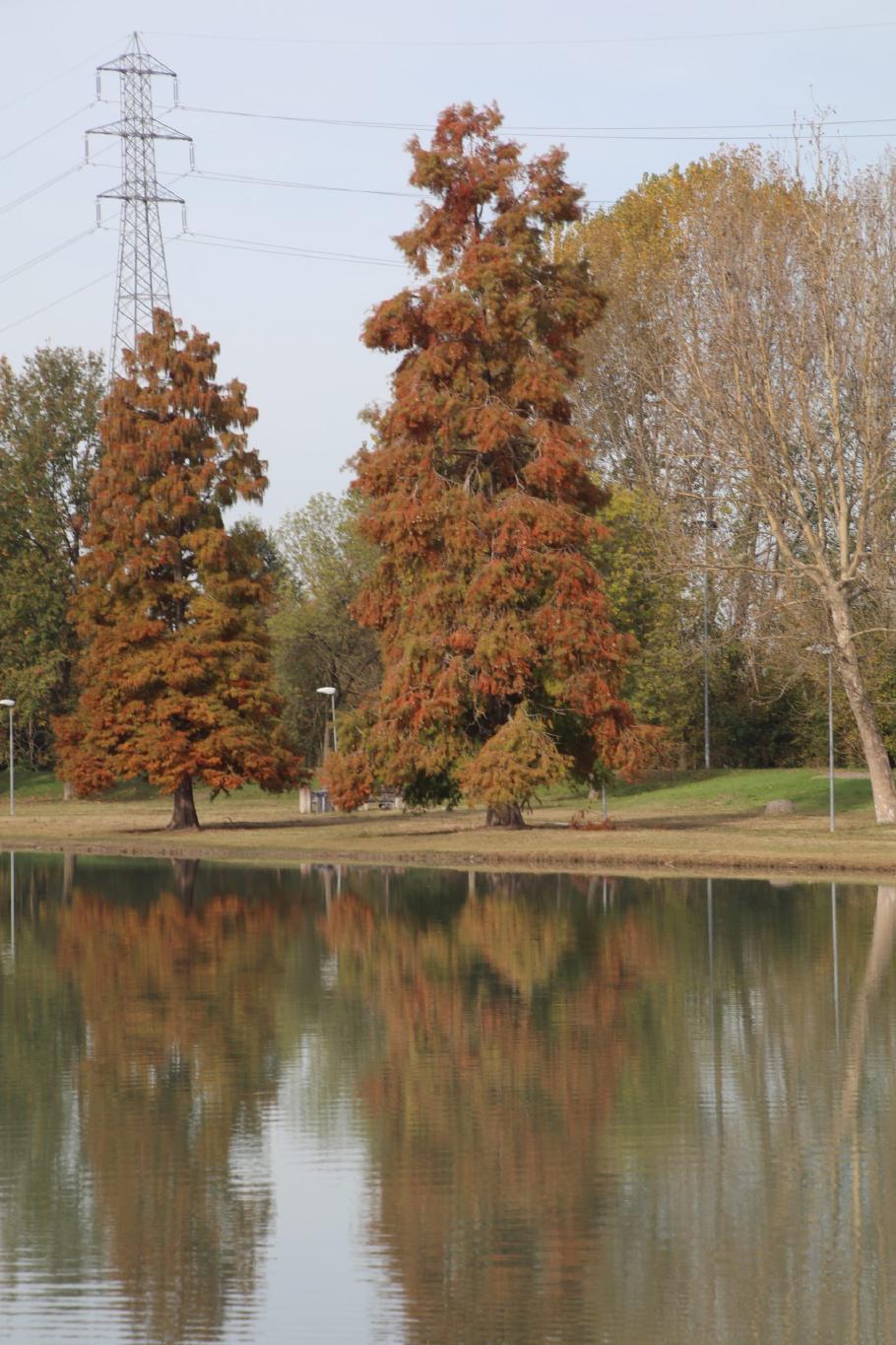 Hier sieht es schon recht herbstlich aus.