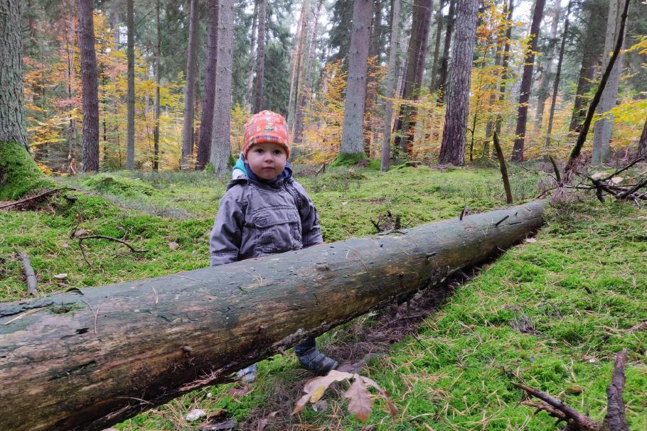 Bis hierher und keinen Schritt weiter!