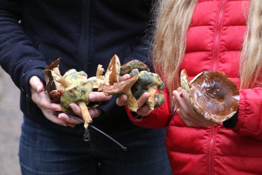 Ohne Korb geht’s nicht weiter.