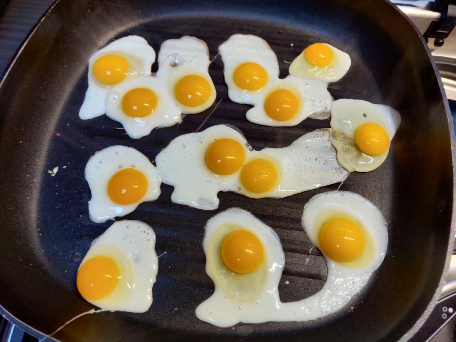 Unsere Wachteln haben uns ein Care-Paket mitgegeben.