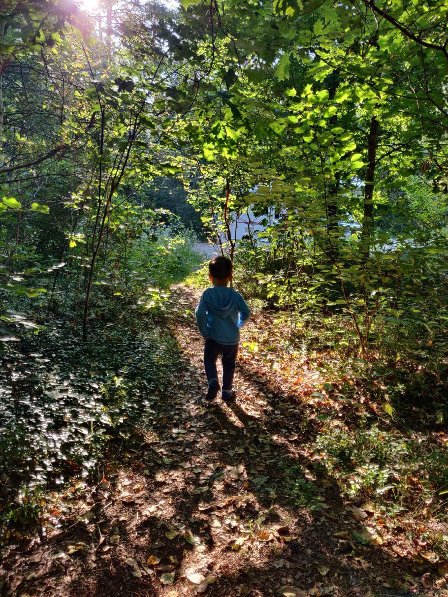 Mattis ergänzt das Frühstück mit frisch gepflückten Waldheidelbeeren.