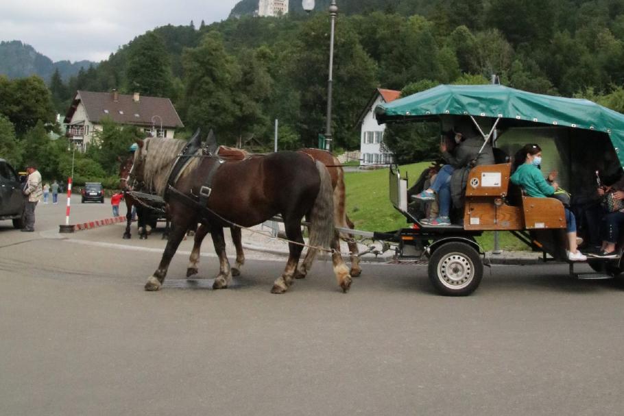 In Schwangau kann man sich passend zum Schloss mit der Kutsche umherfahren lassen.