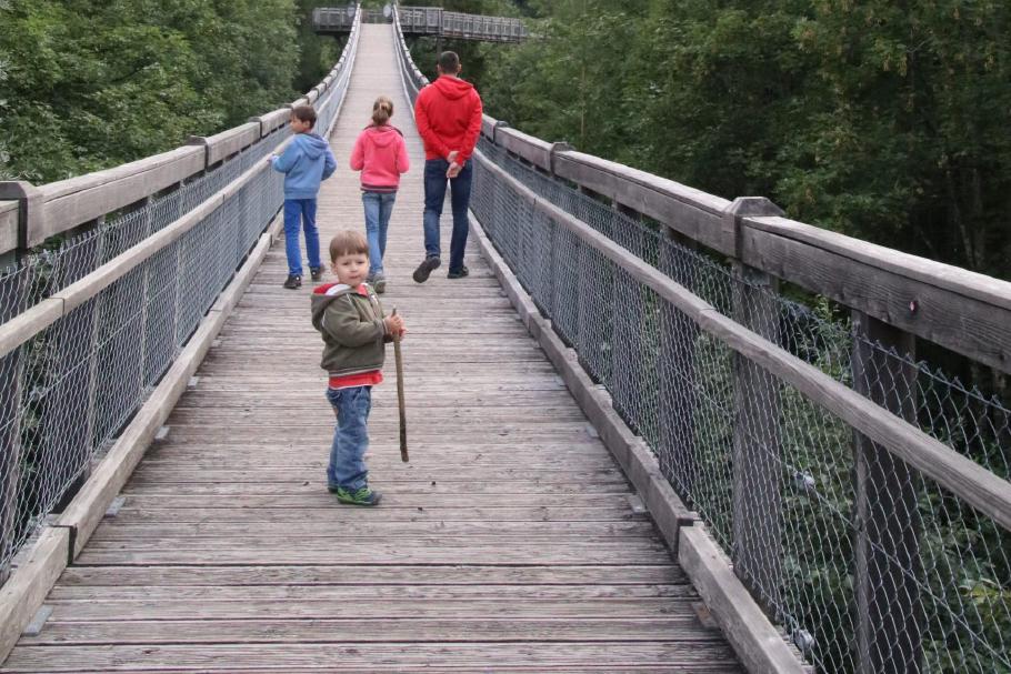 Wir wandern auf Augenhöhe mit den höchsten Bäumen.