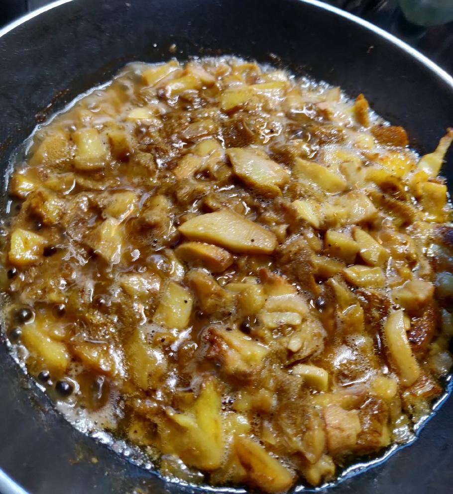 Nicht giftig (hoffentlich), ein Mitbringsel von unserer Wanderung.