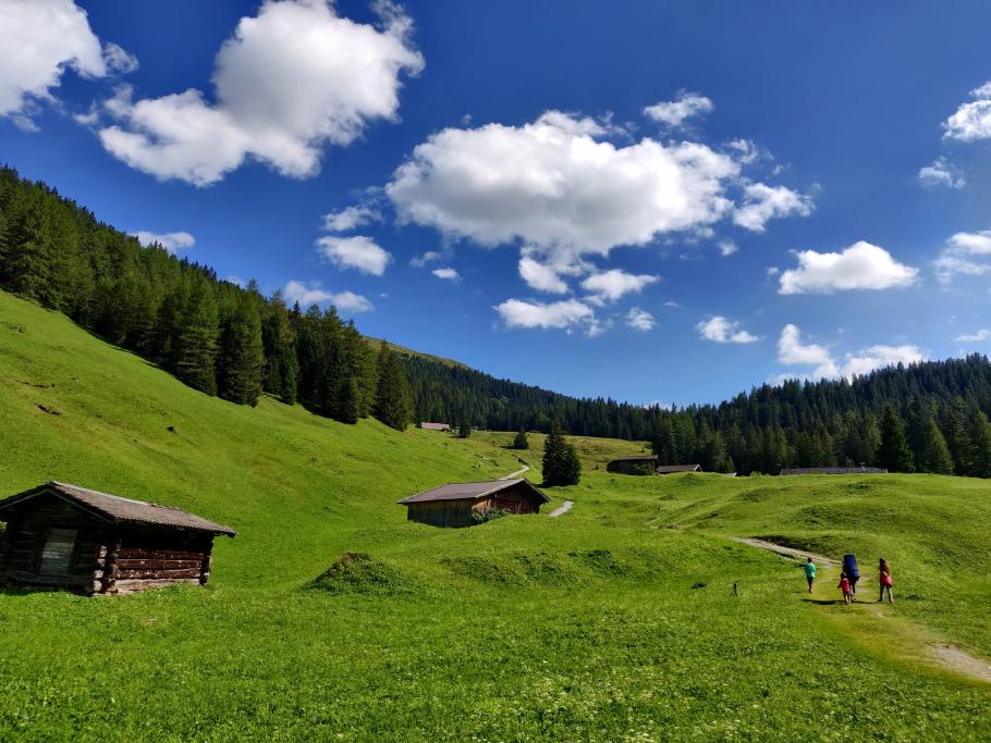 Krass grünt’s Gras.