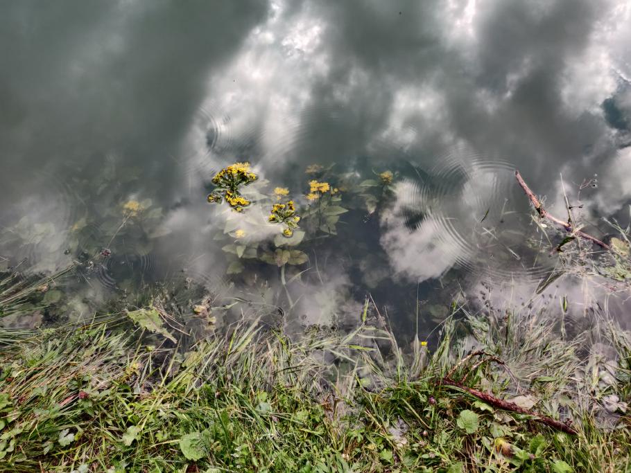 Land unter. Hier hat es vor einigen Tagen ordentlich geregnet.