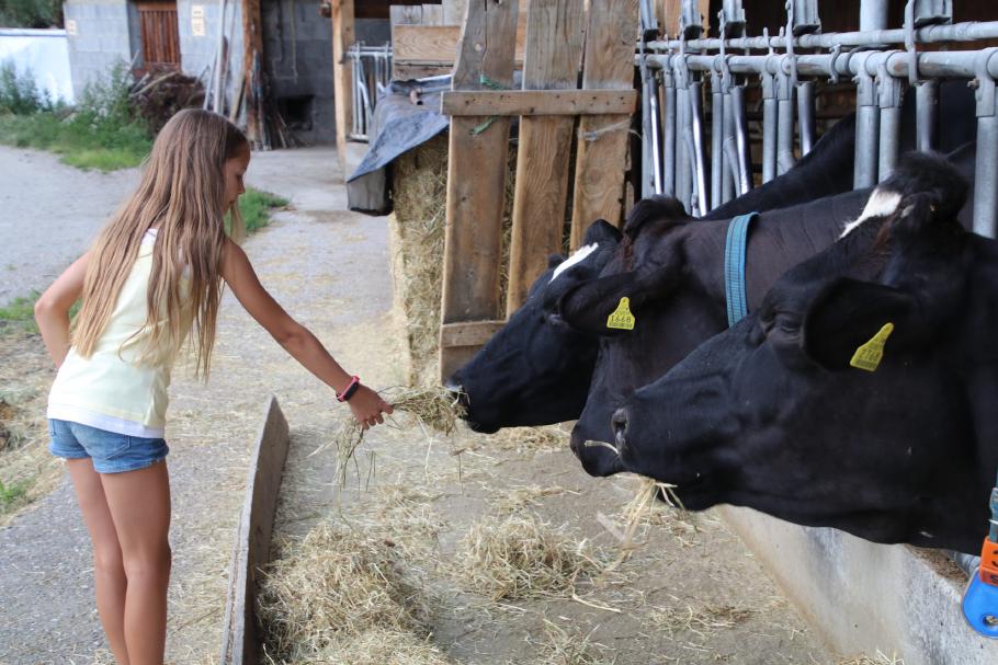 Zaghaftes annähern.