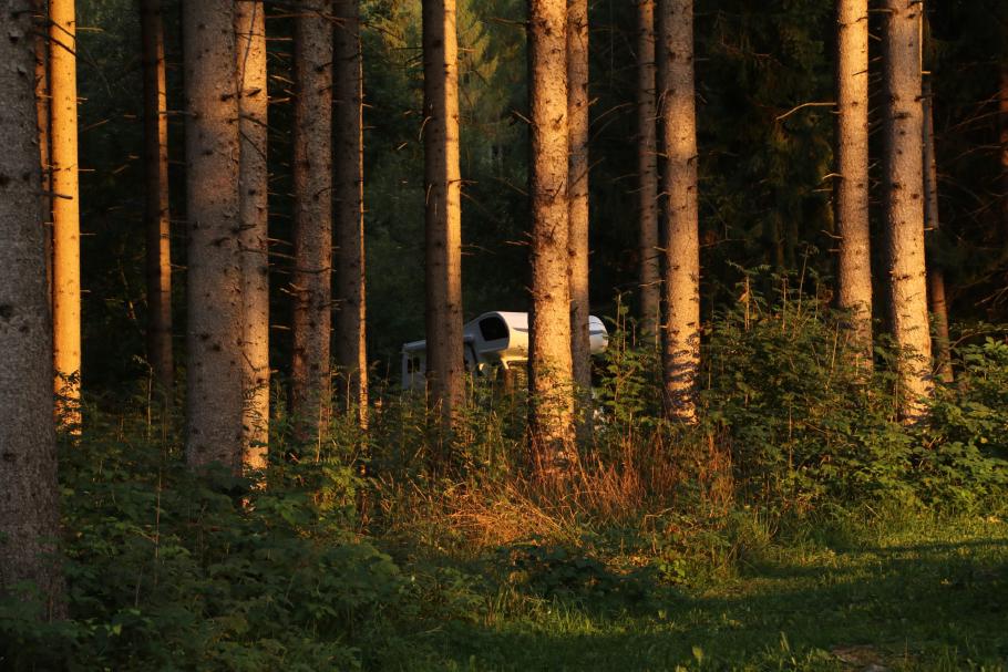 Auf diesem Bild ist ein Camper versteckt.