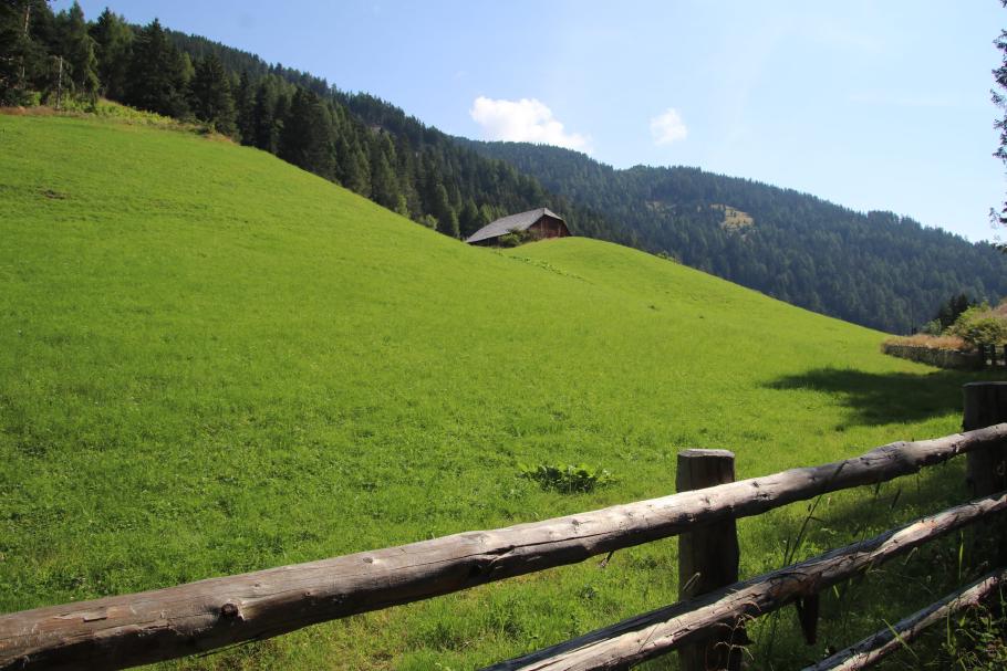 Der Wanderweg führt an grünen Bergwiesen entlang.