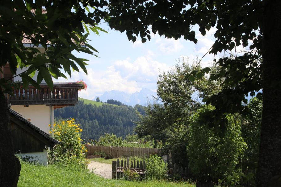 Vom Gasthof aus können wir schneebedeckte Gipfel am Horizont sehen.