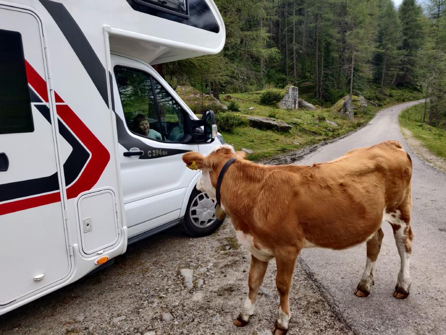 Mattis will anfassen.