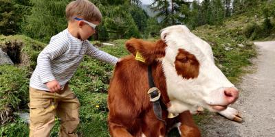 image from Von Alm zu Alm