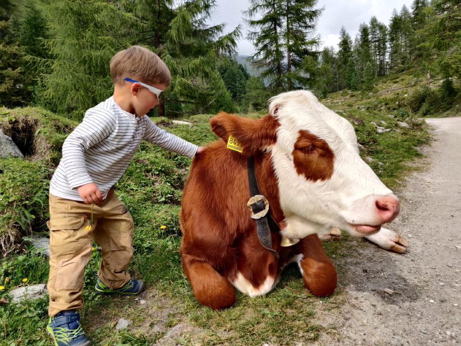 Endlich bekommt auch Mattis seine Kuh zum Anfassen.