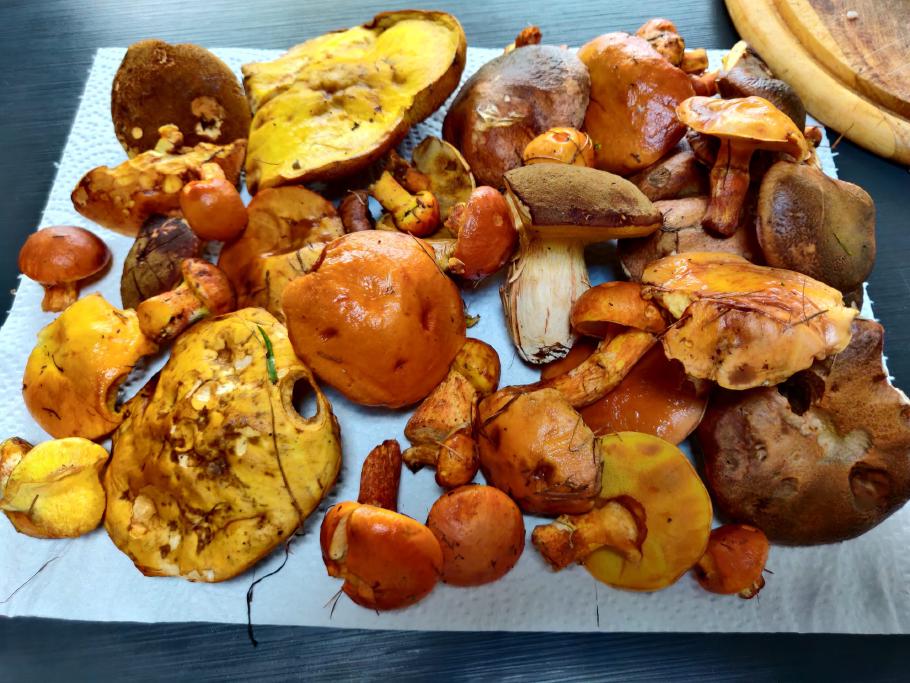 Vor dem Essen müssen wir noch ordentlich putzen.