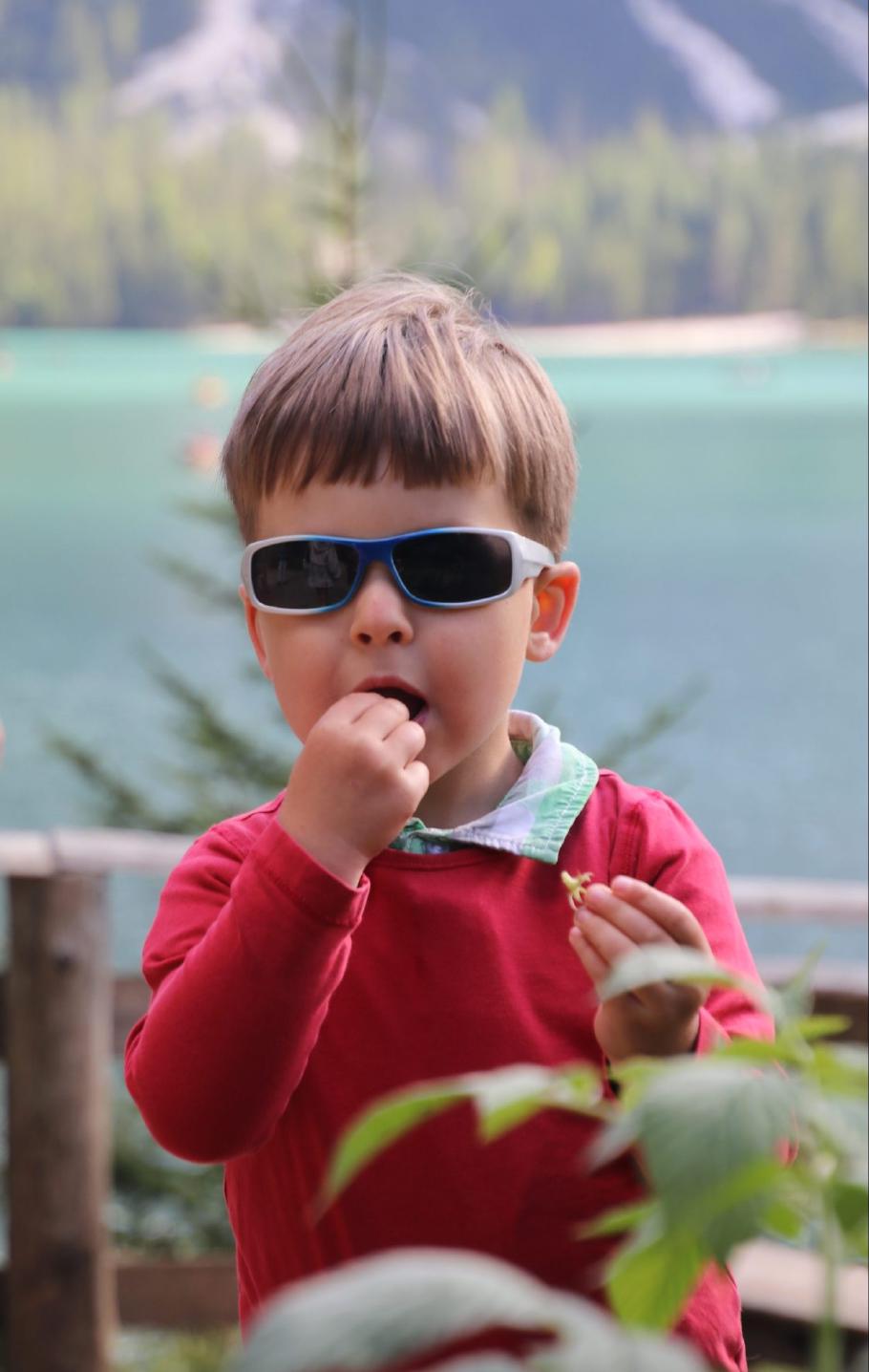 Mattis entdeckt, dass auch hier Himbeeren wachsen.