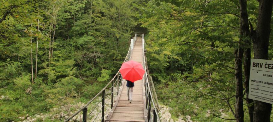 Auch wenn der Schirm nicht wirklich gebraucht wird, gibt er zumindest einen schönen Farbtupfer ab.