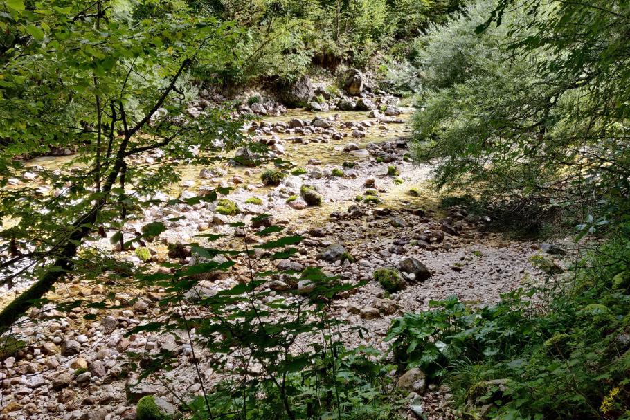 Mit dem Wetter haben wir wirklich Glück.