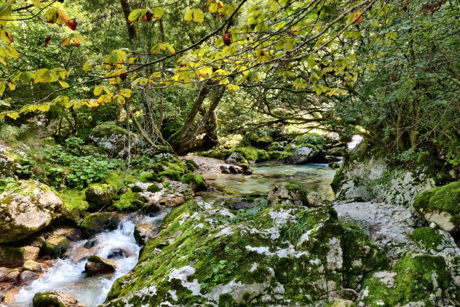 Einen Kilometer stromaufwärts staut sich der Fluss in kleinen Becken.