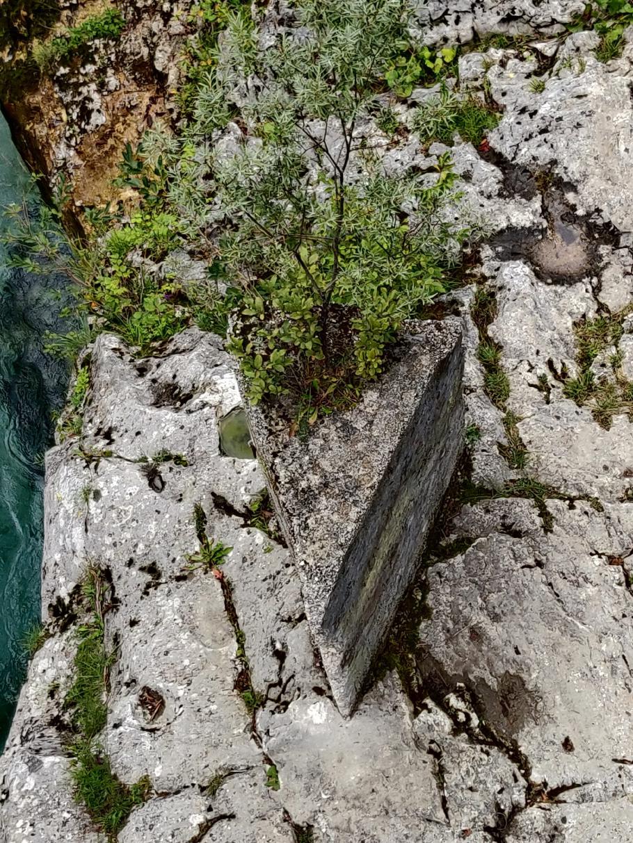 Ein Stück Baumkuchen?