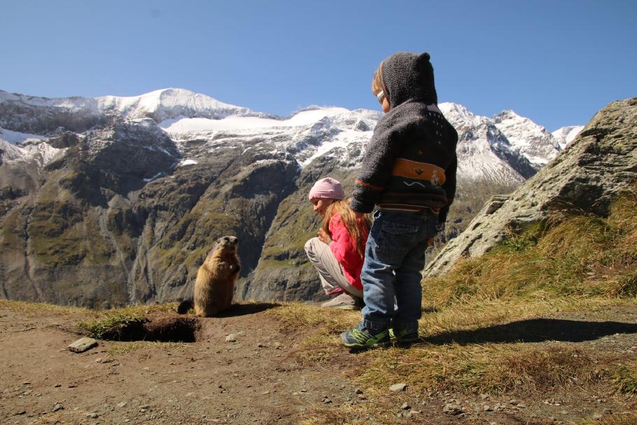 Die Tierchen sind total zutraulich und niedlich.