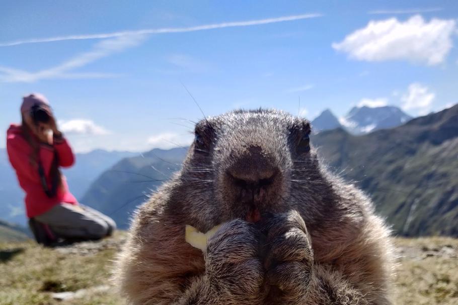 Für das Foto teile ich gern meinen Apfel.