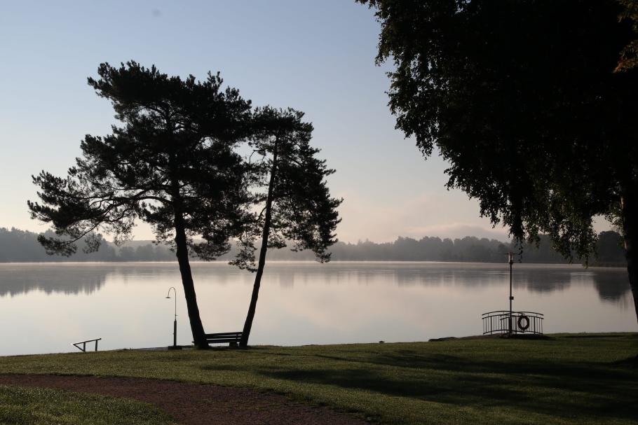 Der Tachinger See liegt noch im Morgennebel.