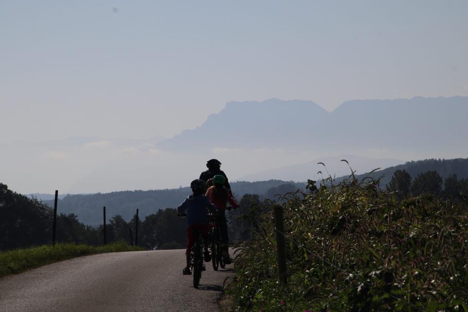Bei bestem Wetter radeln wir durch die ländliche Idylle.