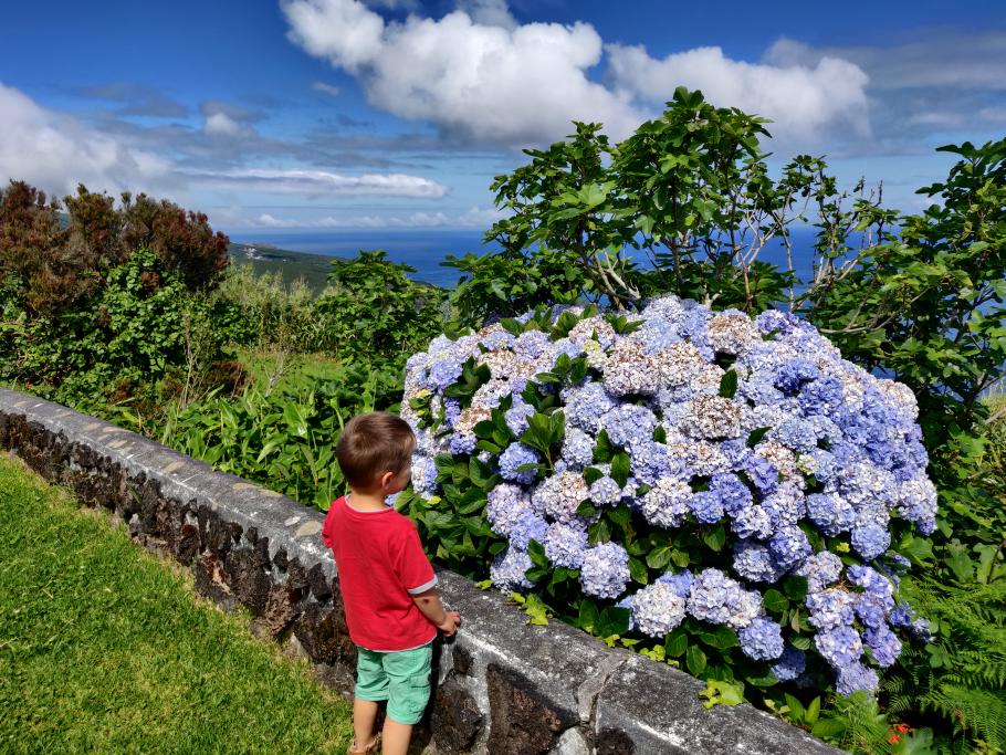 Alle paar Kilometer finden sich spektakuläre Aussichtspunkte an der Straße.