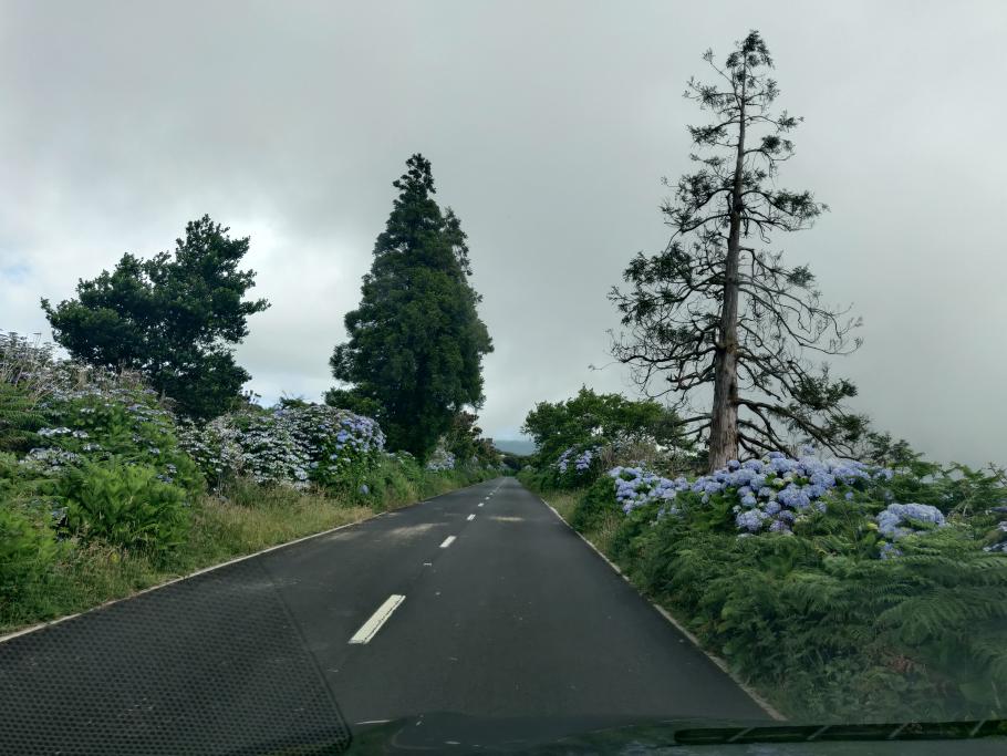 Straße zum Rand der Caldera hoch.