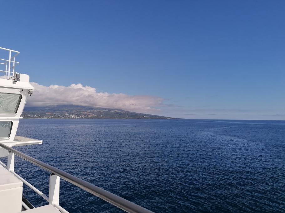 Wir verlassen Faial in Richtung Pico