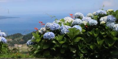 image from Faial