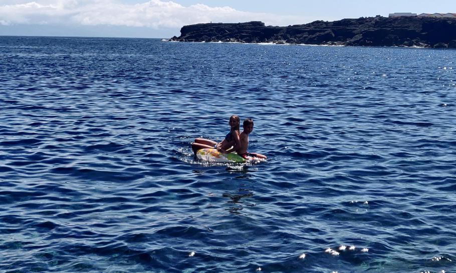 Ob sie es bis nach Faial zurück schaffen?