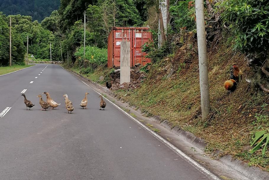 Um es in 25 Minuten bis hoch zu schaffen, müssen wir die eine oder andere lahme Ente überholen.