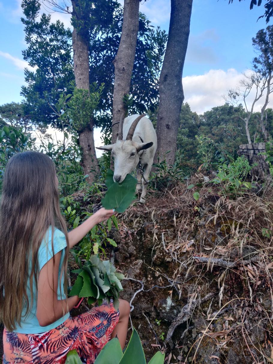 Die Beiden verstehen sich auf Anhieb