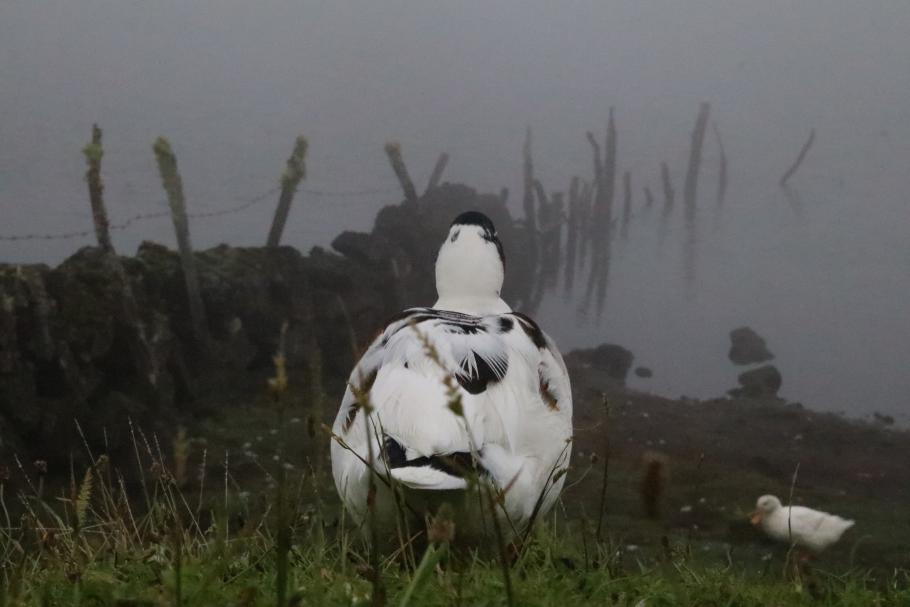 &hellip; und in der Praxis