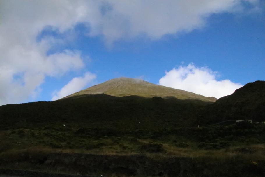 Viel grüner, als es von unten her aussah