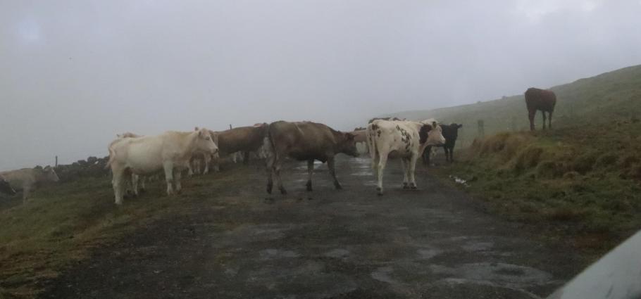 Geh aus dem Weg, sonst bestell ich Dich!