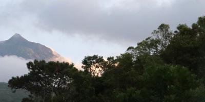 image from Ankommen auf Pico