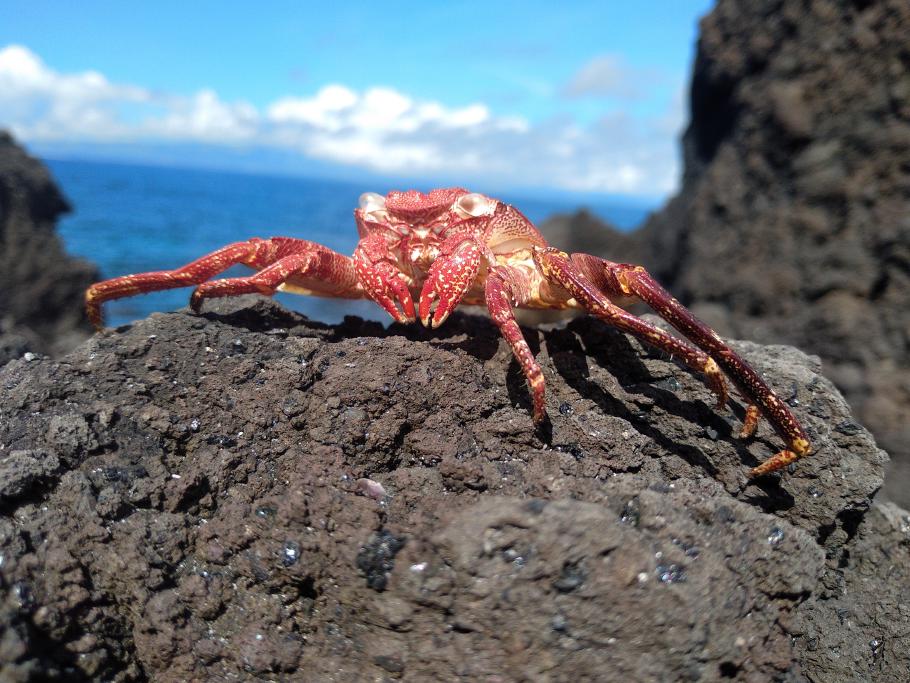 Nur keinen Sonnenbrand holen