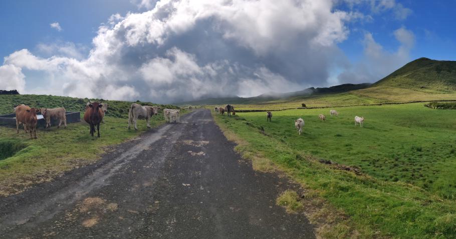 Wir könnten auch irgendwo in Neuseeland unterwegs sein