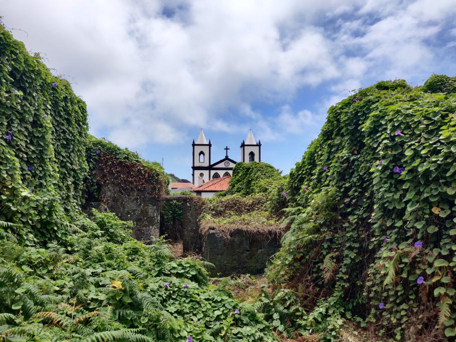 Ein Stück hinter der Taverne bedecken blau blühende Kletterpflanzen eine alte Ruine
