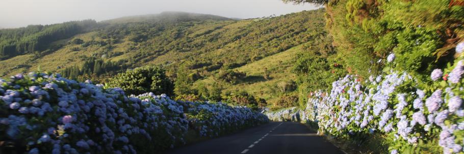 Vielversprechender Start