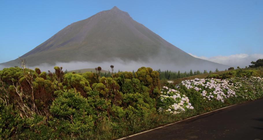 Auf 1000 Metern Höhe sammeln sich schon ein paar Wolken