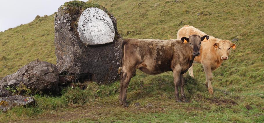 Hier werden wir schon erwartet
