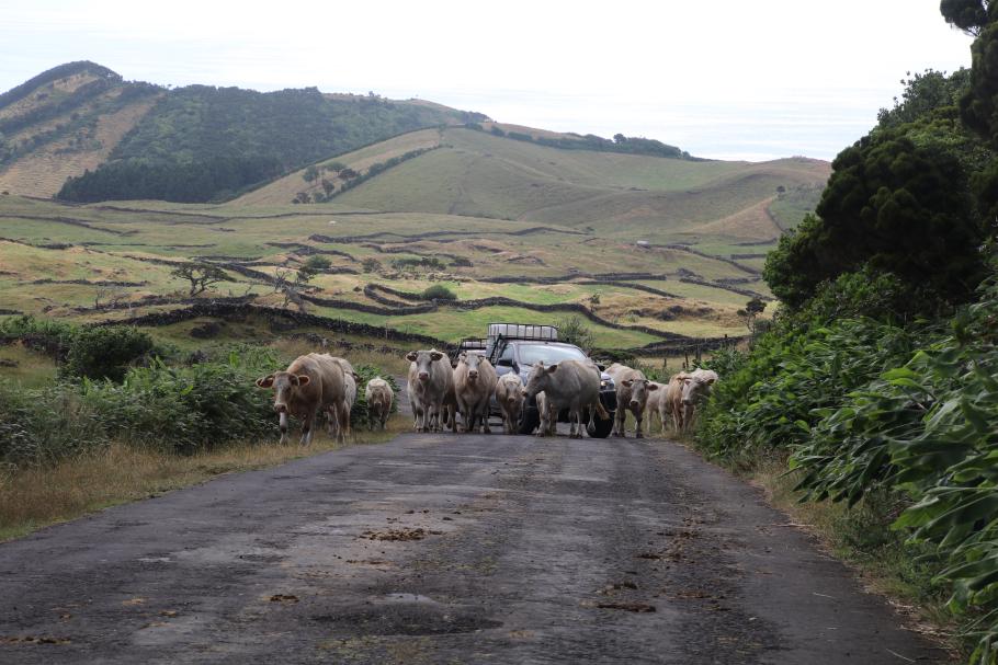 Hier machen wir gerne Platz